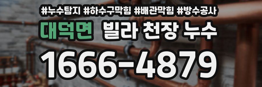 대덕면 빌라 천장 누수