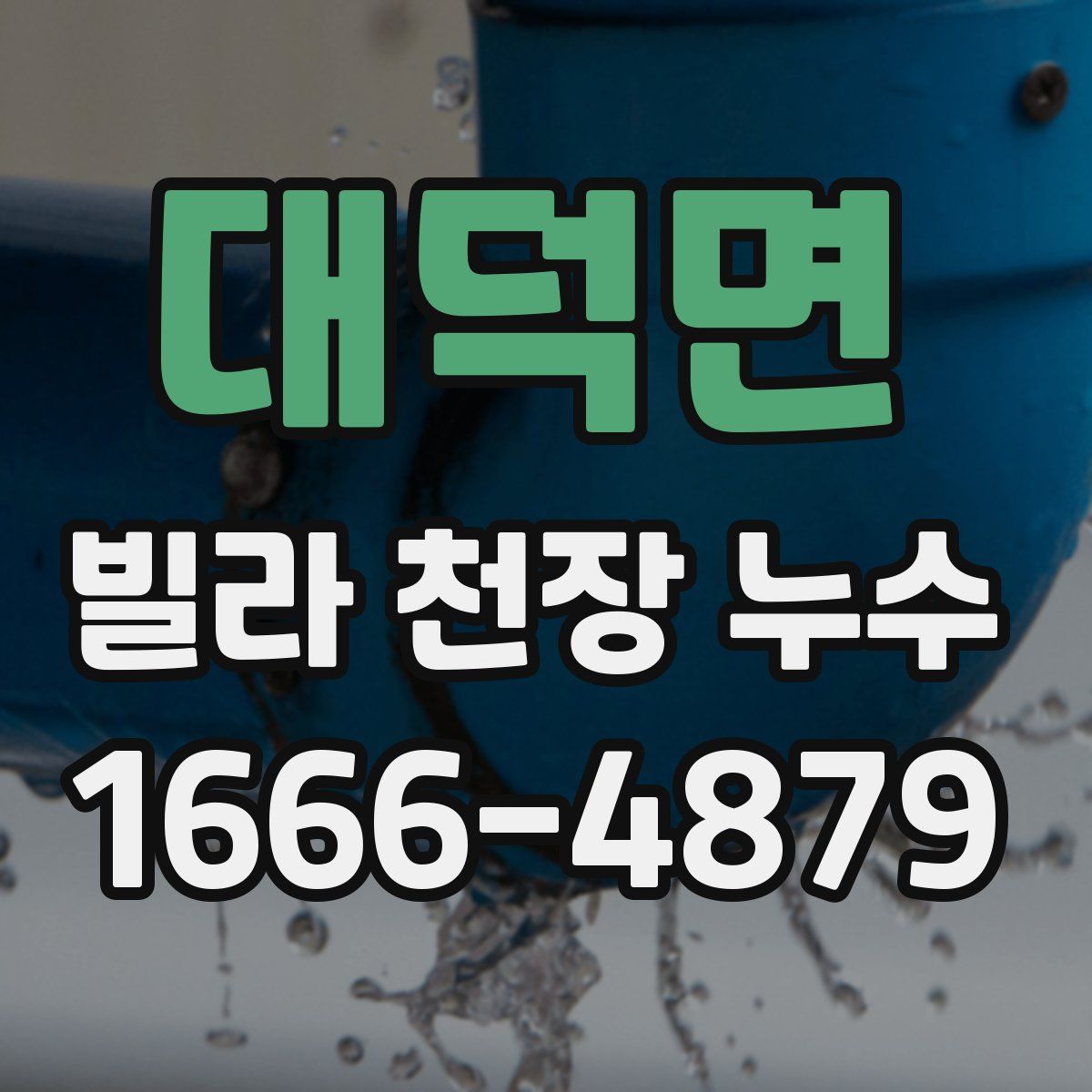 대덕면 빌라 천장 누수