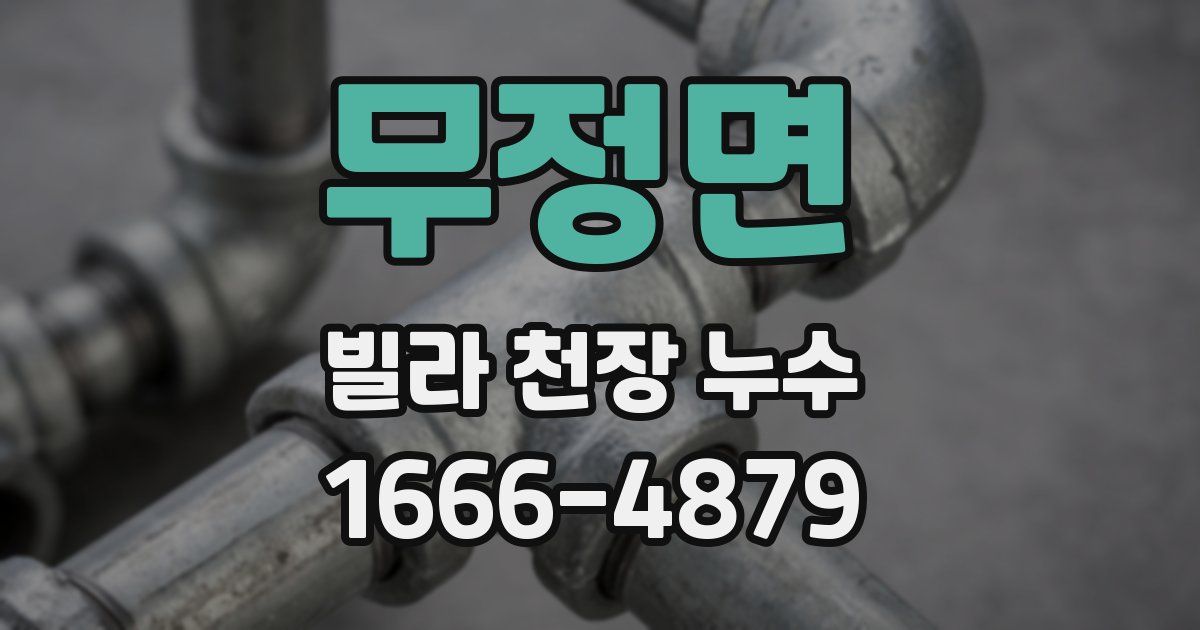 무정면 빌라 천장 누수