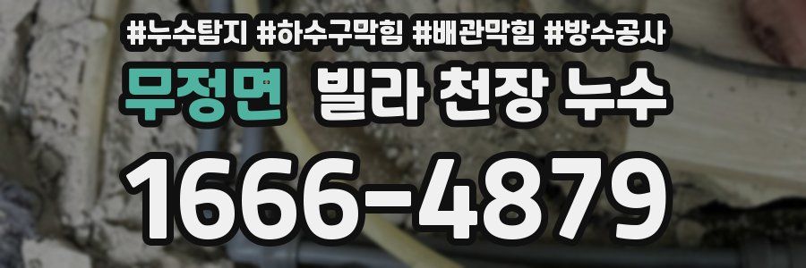 무정면 빌라 천장 누수