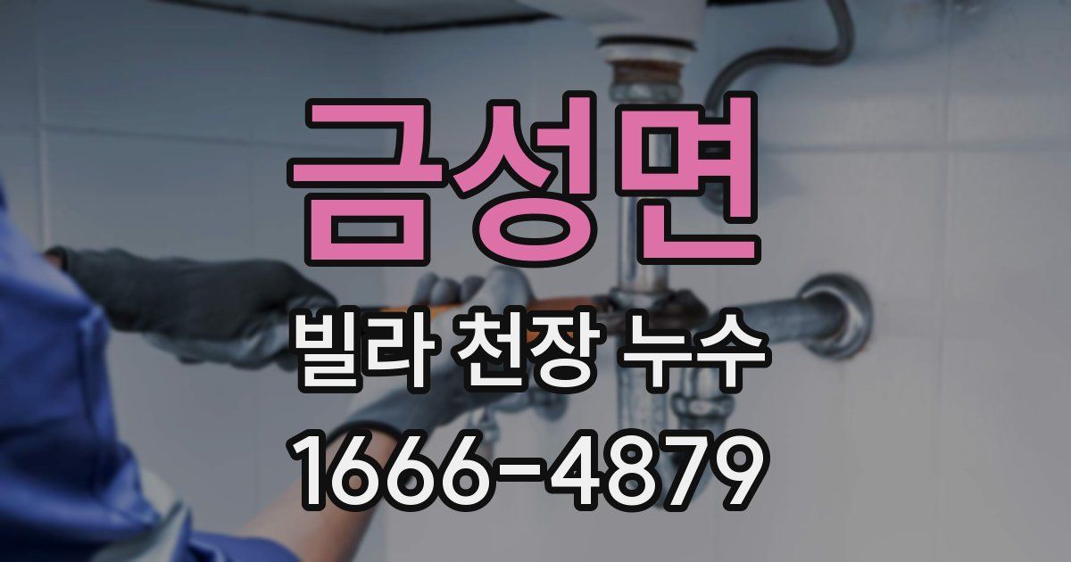 금성면 빌라 천장 누수