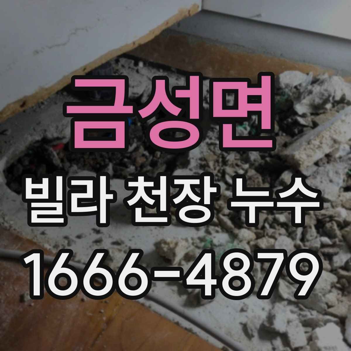 금성면 빌라 천장 누수