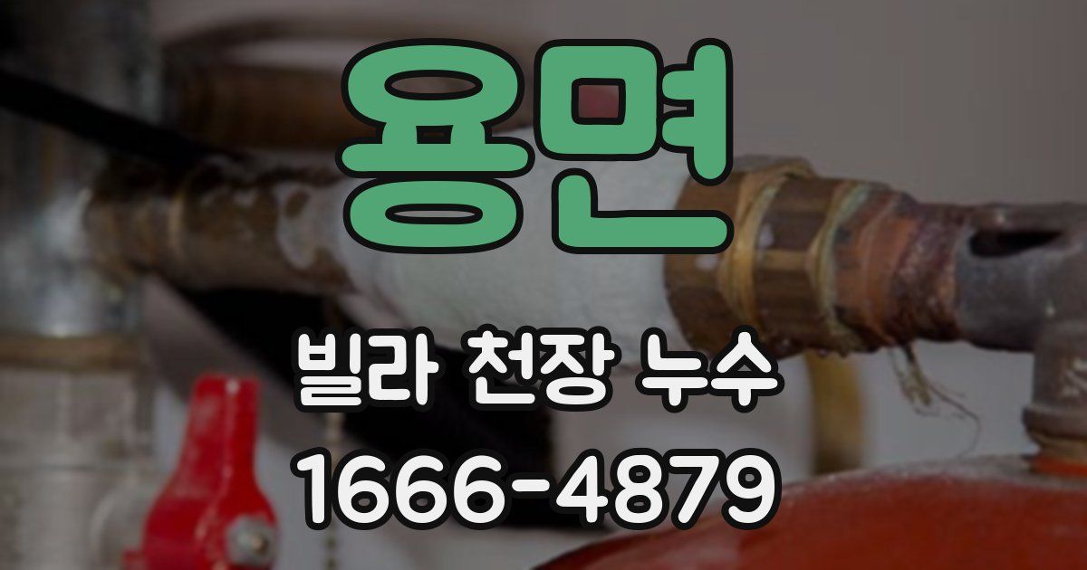 용면 빌라 천장 누수