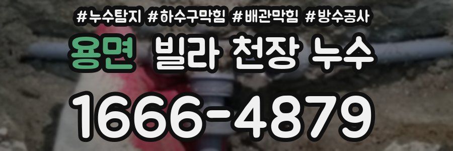 용면 빌라 천장 누수
