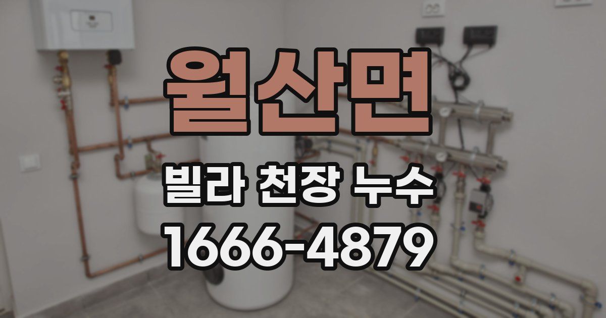 월산면 빌라 천장 누수