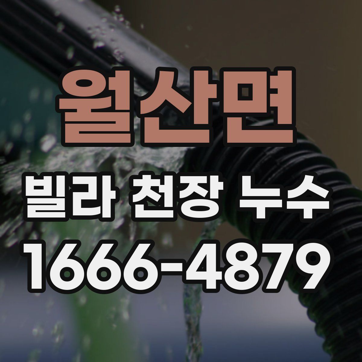 월산면 빌라 천장 누수