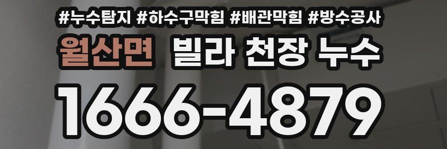 월산면 빌라 천장 누수