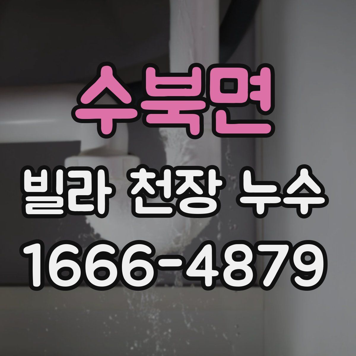 수북면 빌라 천장 누수