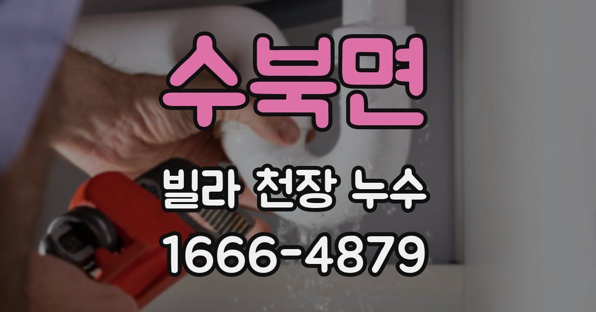 수북면 빌라 천장 누수