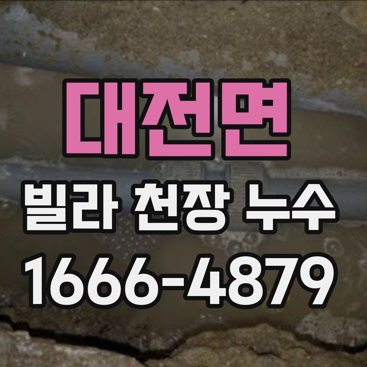 대전면 빌라 천장 누수