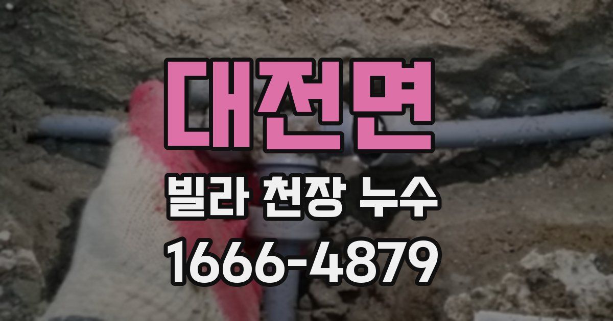 대전면 빌라 천장 누수