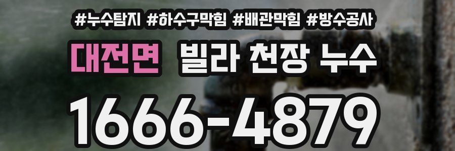 대전면 빌라 천장 누수
