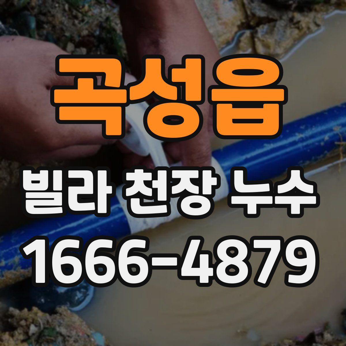 곡성읍 빌라 천장 누수