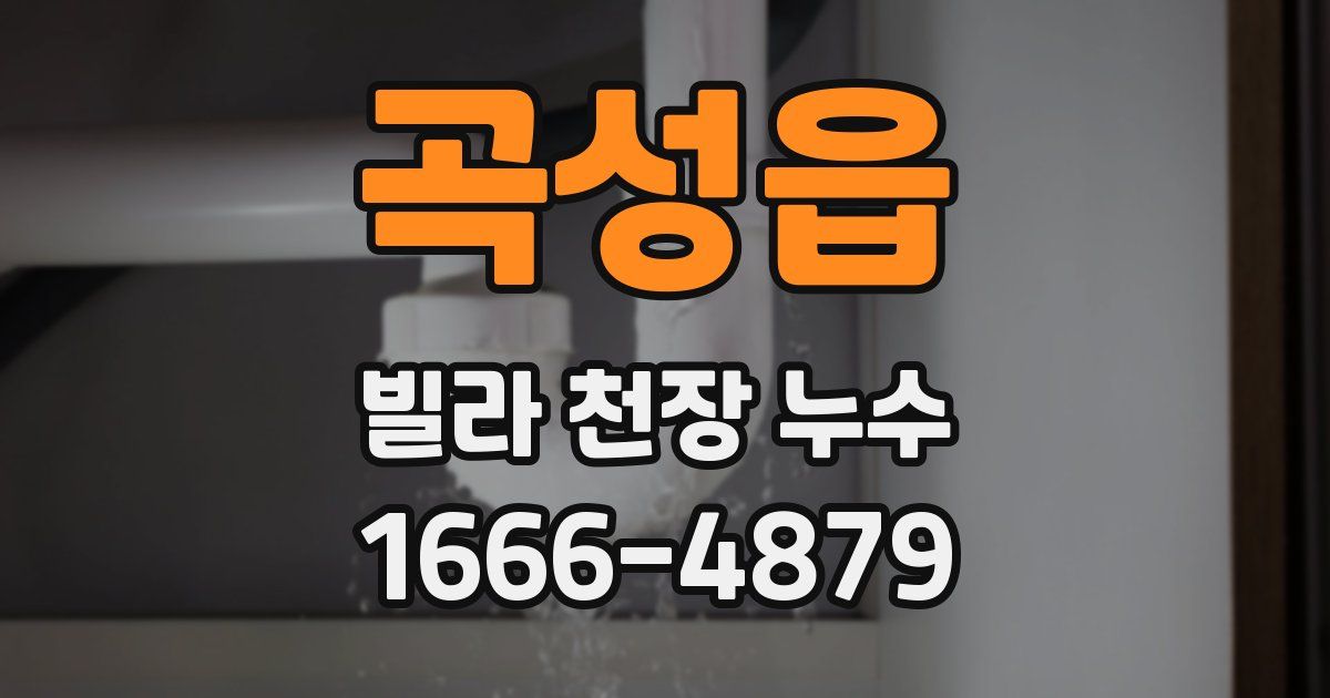 곡성읍 빌라 천장 누수