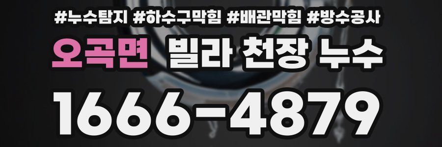 오곡면 빌라 천장 누수