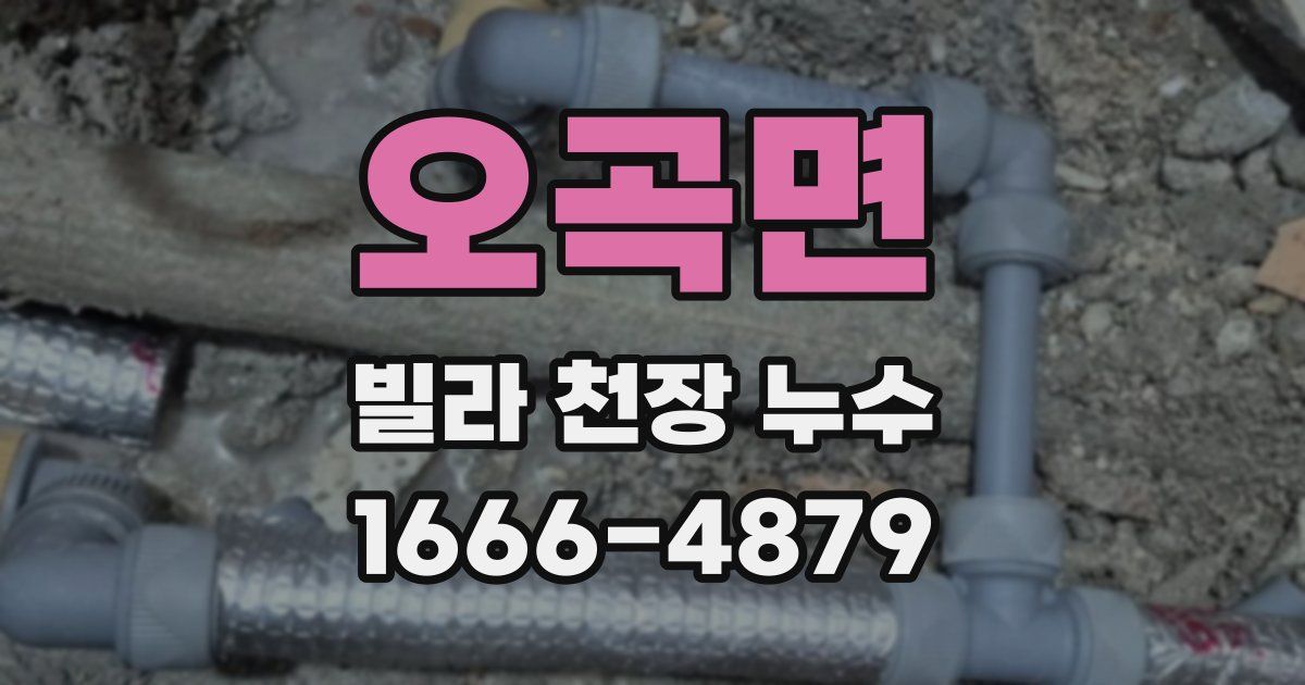 오곡면 빌라 천장 누수