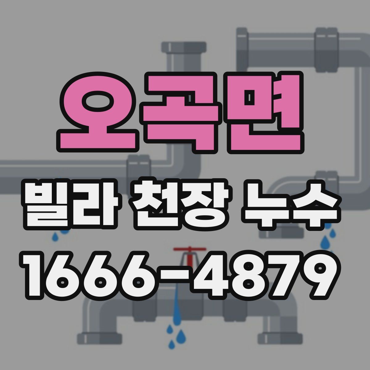 오곡면 빌라 천장 누수