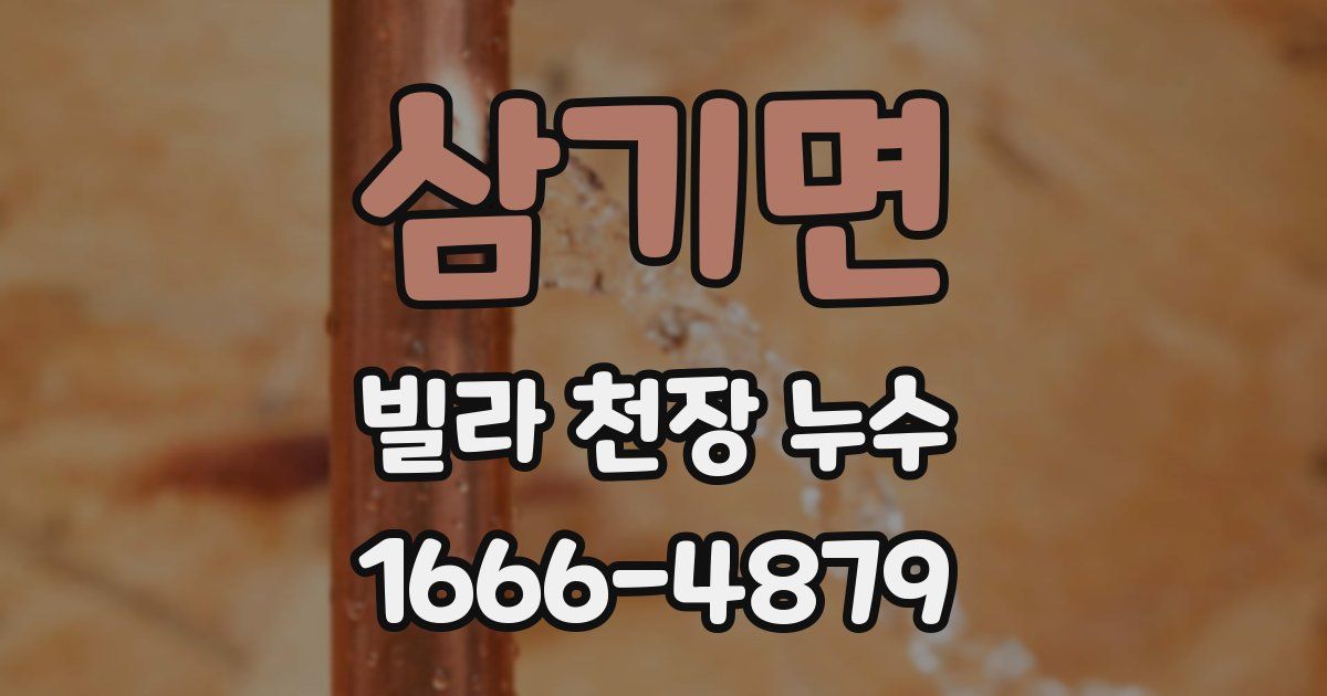 삼기면 빌라 천장 누수