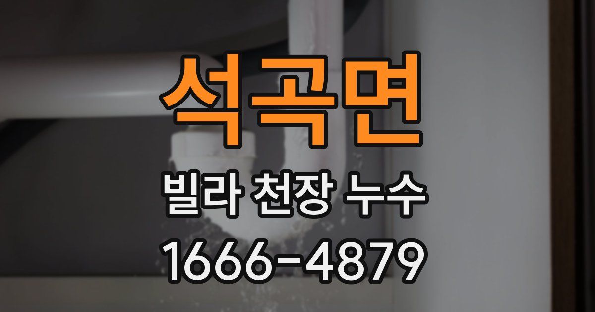 석곡면 빌라 천장 누수