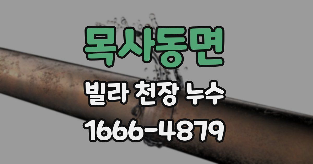 목사동면 빌라 천장 누수