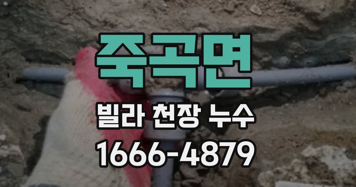 죽곡면 빌라 천장 누수