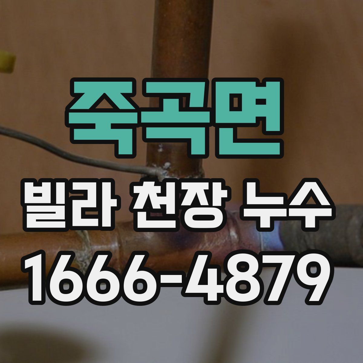 죽곡면 빌라 천장 누수