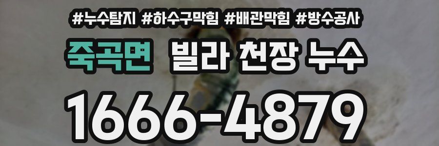 죽곡면 빌라 천장 누수