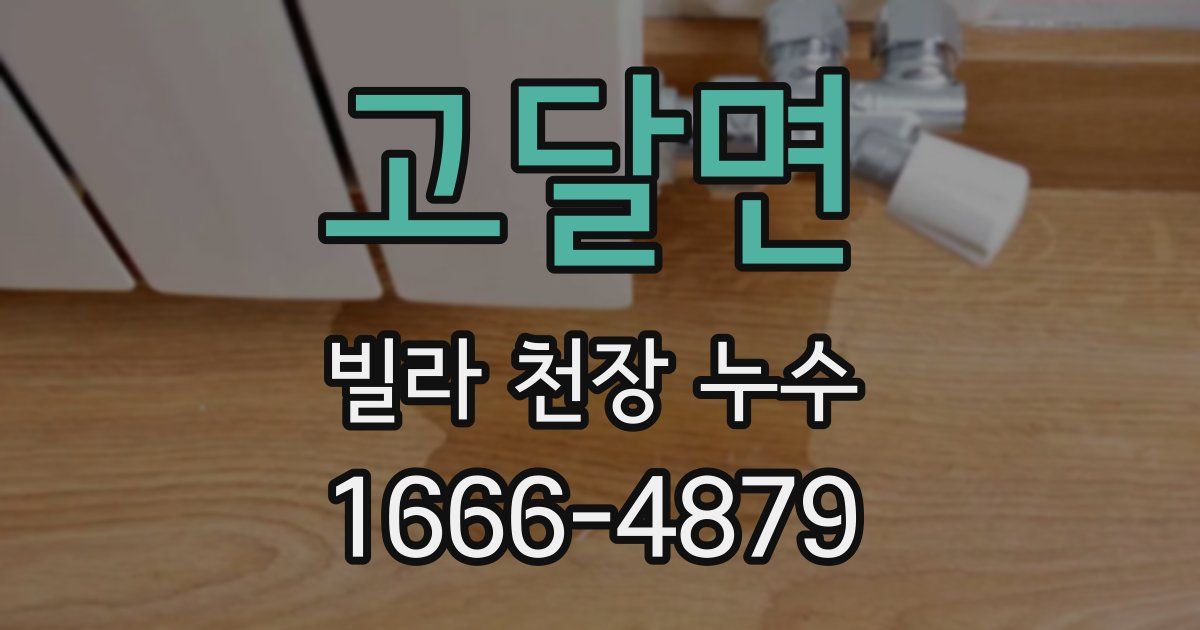 고달면 빌라 천장 누수