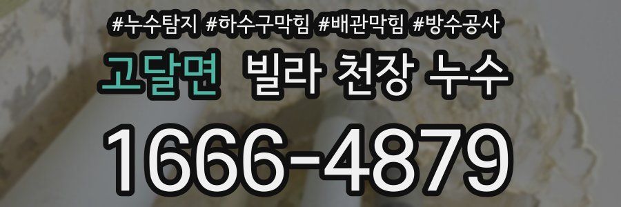 고달면 빌라 천장 누수