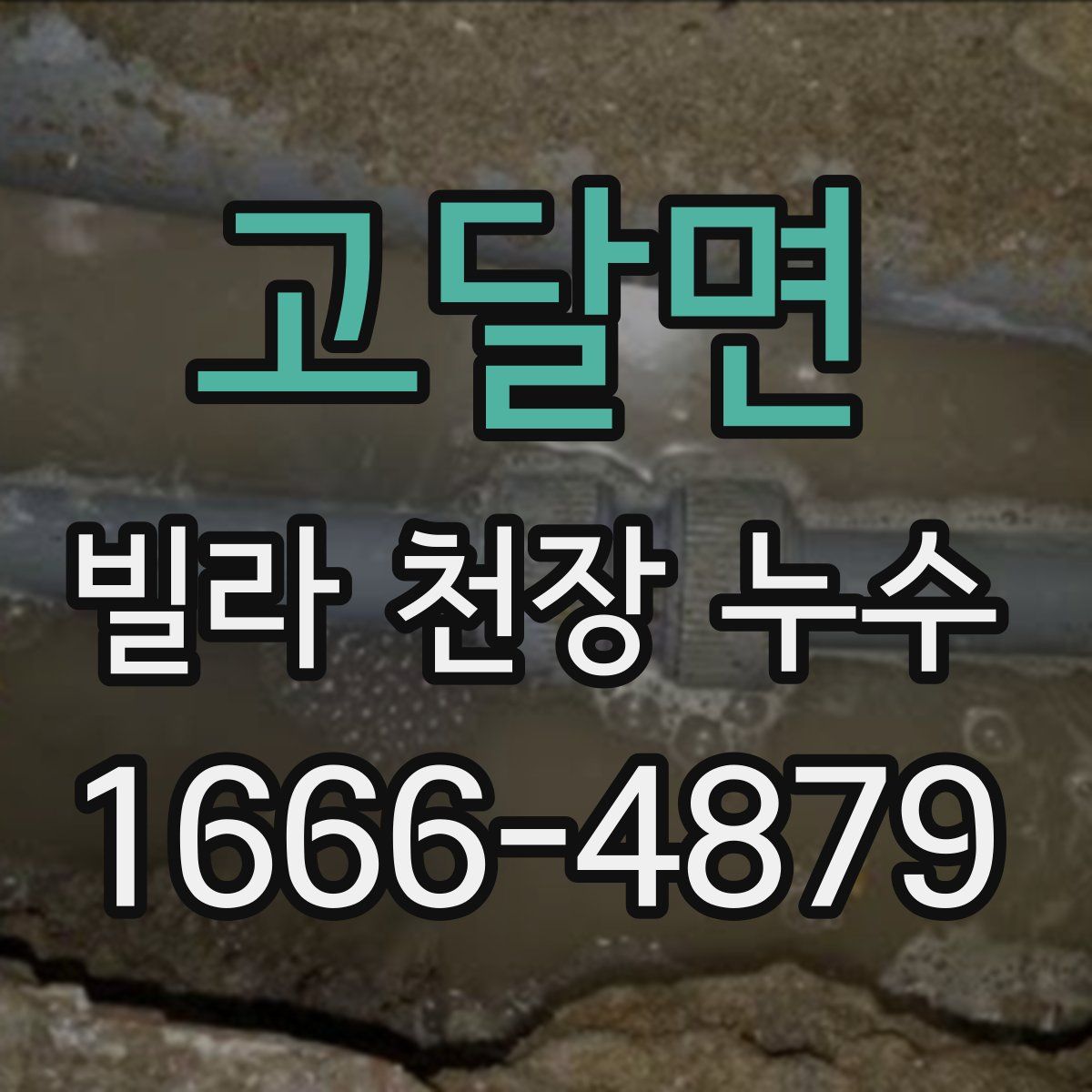 고달면 빌라 천장 누수