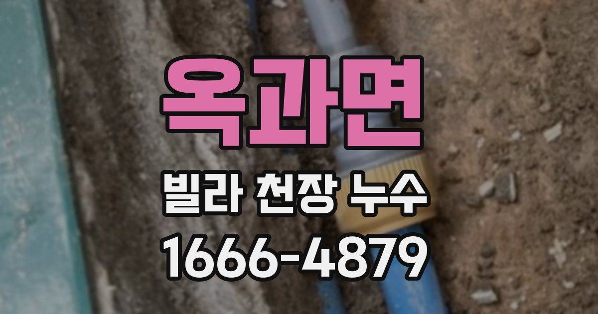 옥과면 빌라 천장 누수