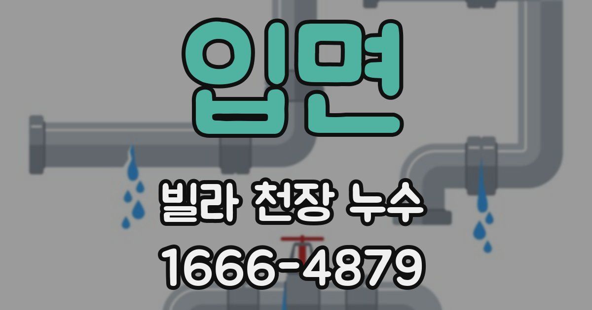 입면 빌라 천장 누수