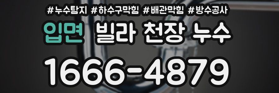 입면 빌라 천장 누수