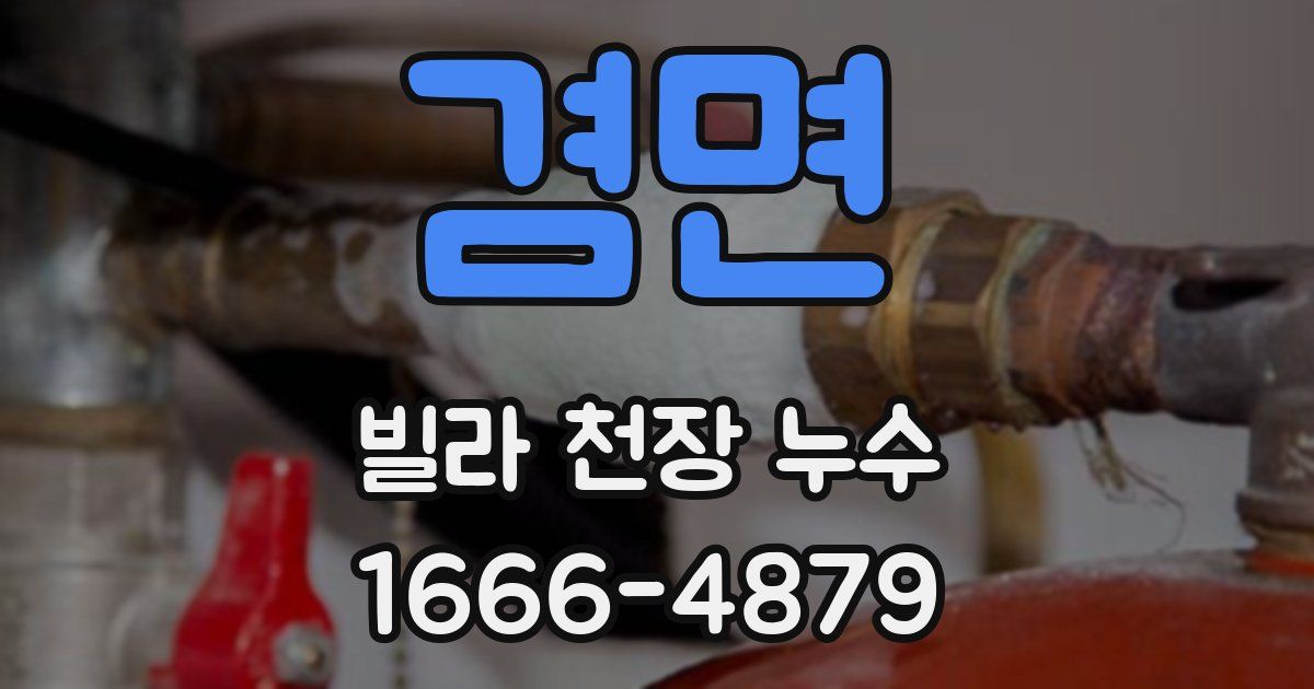 겸면 빌라 천장 누수