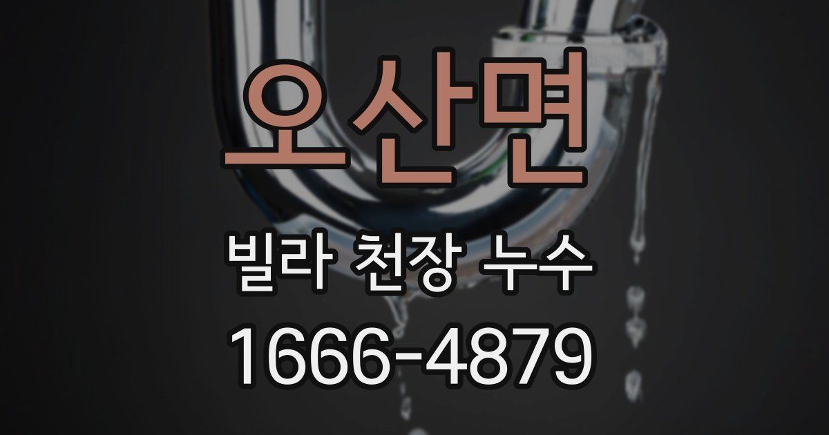 오산면 빌라 천장 누수