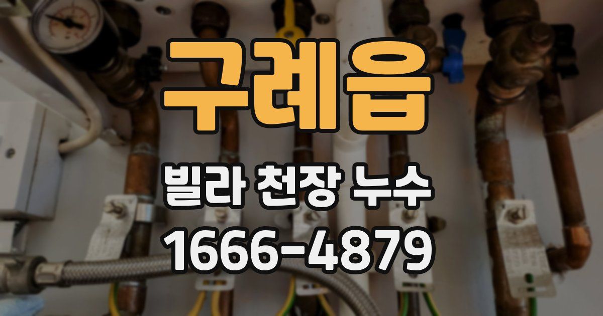 구례읍 빌라 천장 누수