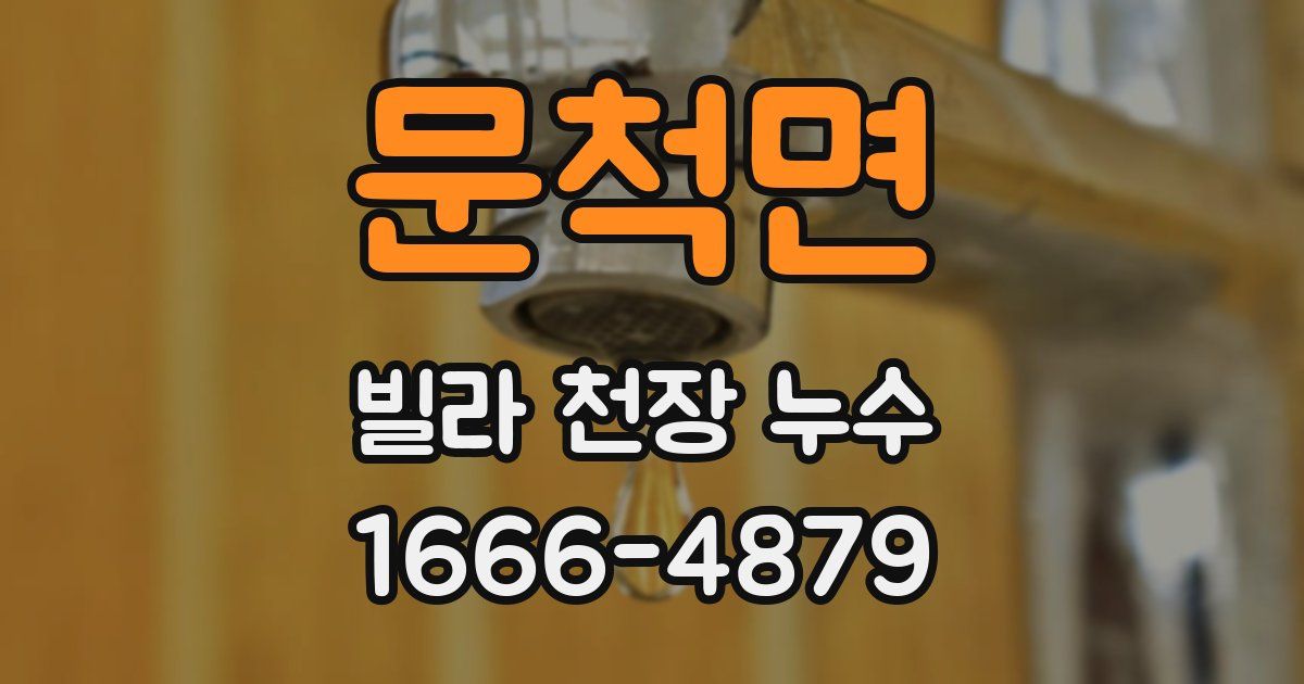 문척면 빌라 천장 누수