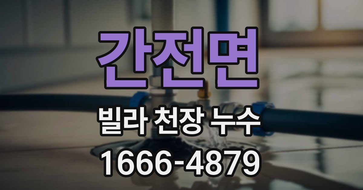 간전면 빌라 천장 누수