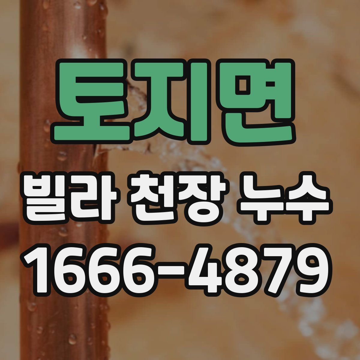 토지면 빌라 천장 누수
