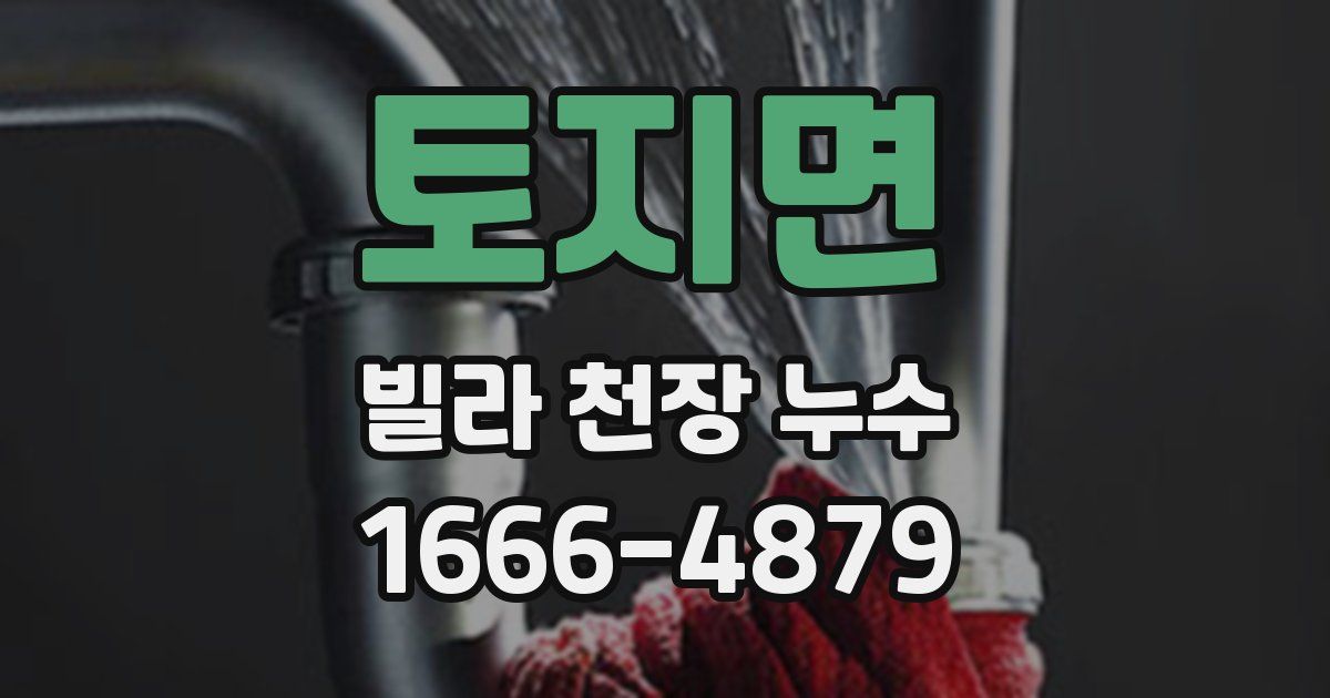 토지면 빌라 천장 누수