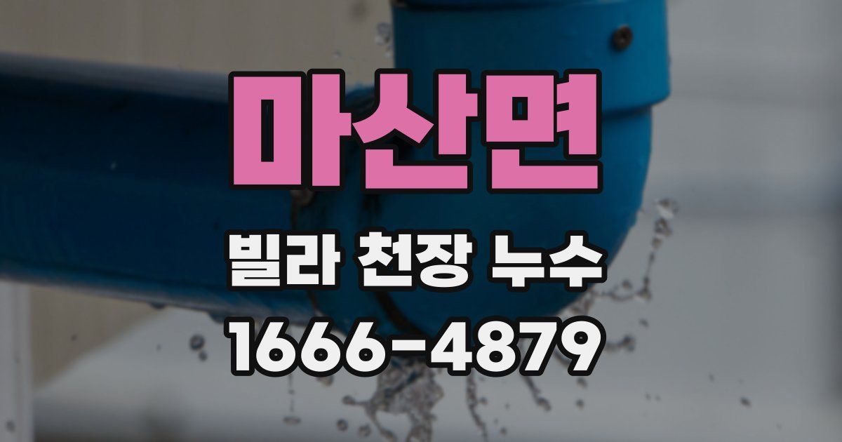 마산면 빌라 천장 누수