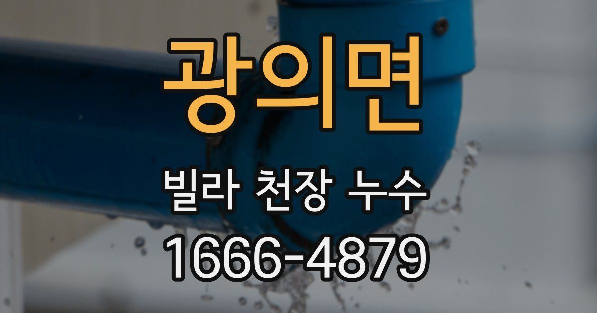 광의면 빌라 천장 누수