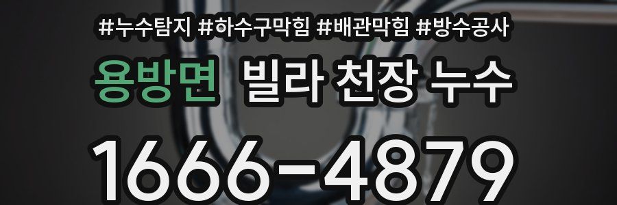 용방면 빌라 천장 누수