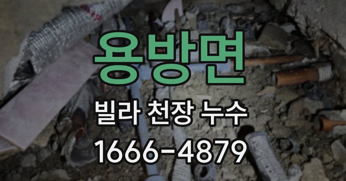 용방면 빌라 천장 누수