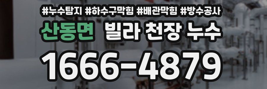 산동면 빌라 천장 누수