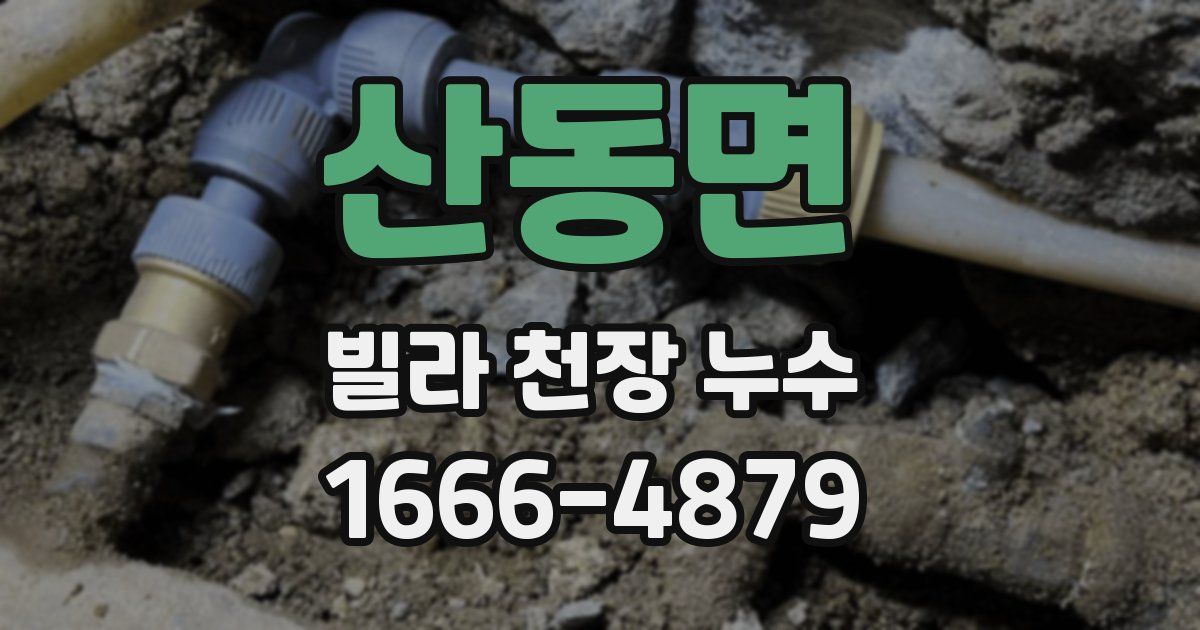 산동면 빌라 천장 누수