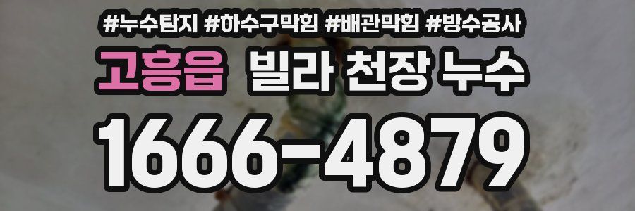 고흥읍 빌라 천장 누수
