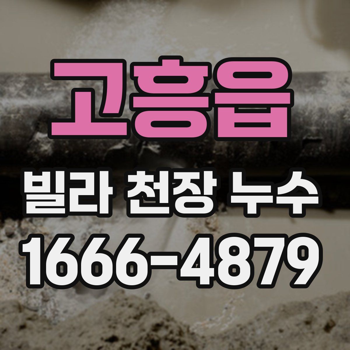 고흥읍 빌라 천장 누수