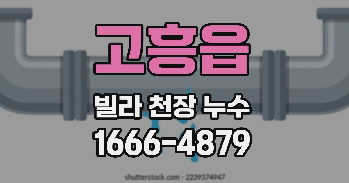 고흥읍 빌라 천장 누수