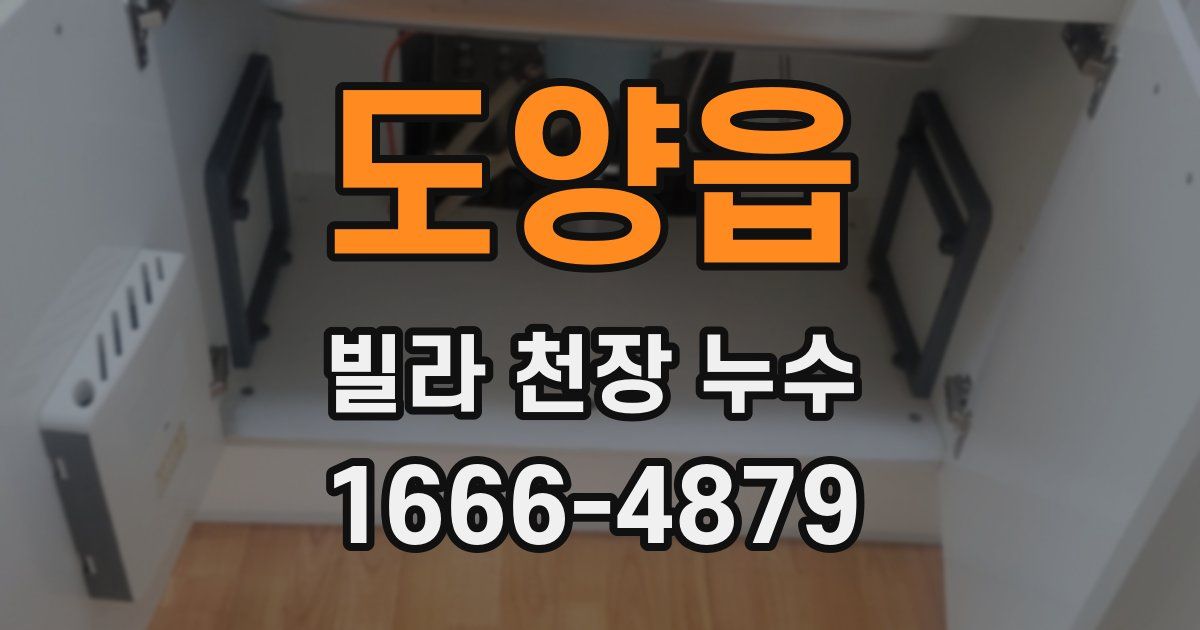 도양읍 빌라 천장 누수